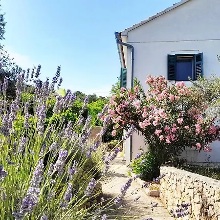 Rustic Miketa Tatil Evi