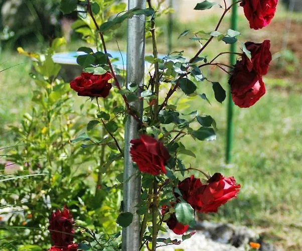 Prázdninový dům Rustic Holiday Miketa Lukoran