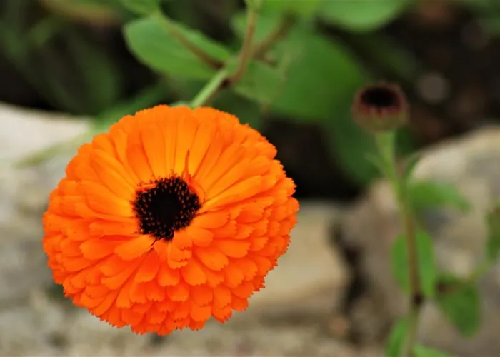 Prázdninový dům Rustic Holiday Miketa