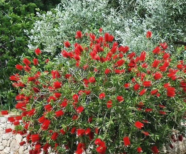 Prázdninový dům Rustic Holiday Miketa