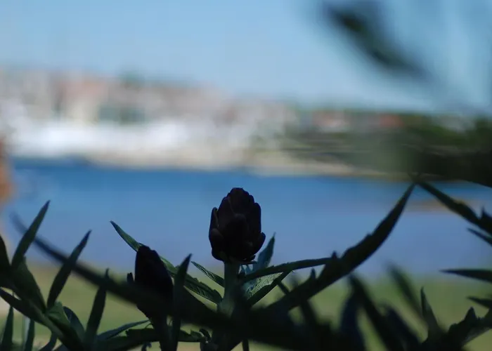 Prázdninový dům Rustic Holiday Miketa Lukoran