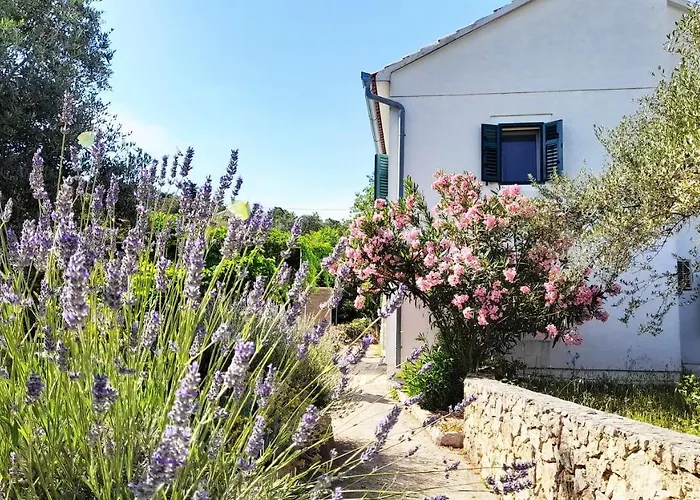 Rustic Holiday Miketa Prázdninový dům