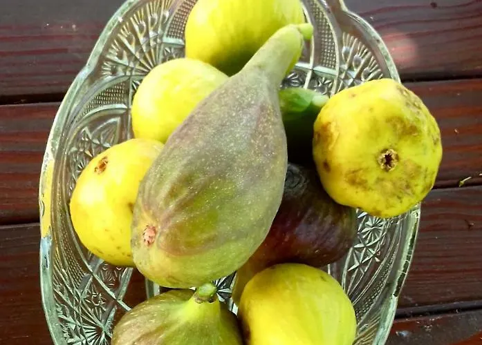 Rustic Holiday Miketa Prázdninový dům