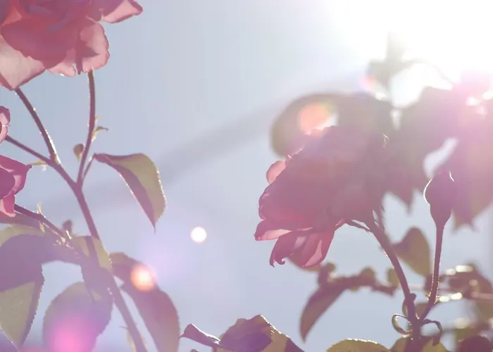 Rustic Holiday Miketa Prázdninový dům Lukoran