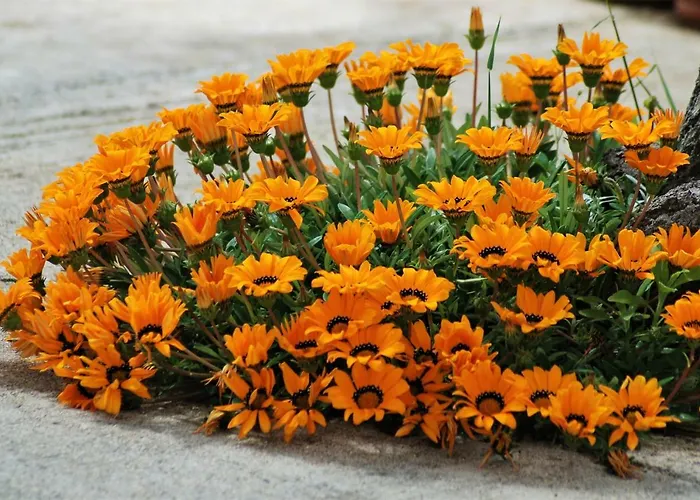 Prázdninový dům Rustic Holiday Miketa Lukoran