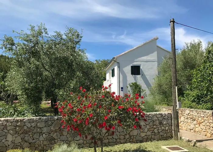 Prázdninový dům Rustic Holiday Miketa Lukoran