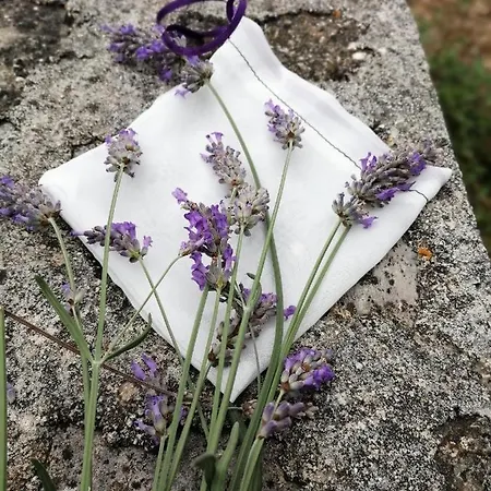 Rustic Miketa * Lukoran