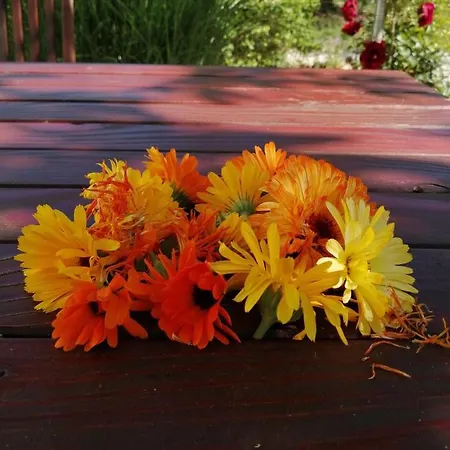 Hébergement de vacances Rustic Miketa *