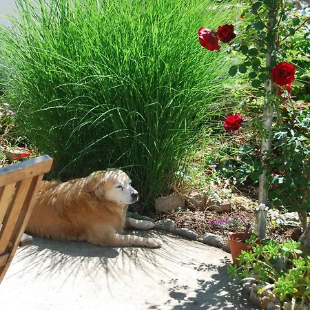 Rustic Miketa Lukoran