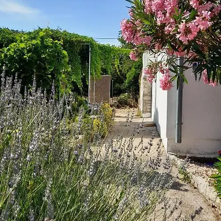 Rustic Miketa Casa vacanze