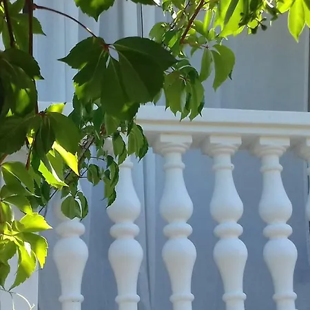 Rustic Miketa * Lukoran