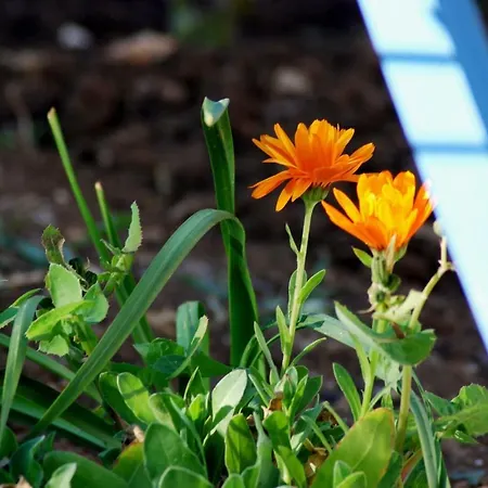 Rustic Miketa Hébergement de vacances