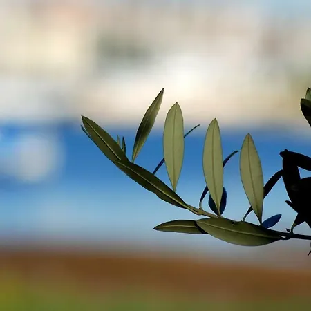 Hébergement de vacances Rustic Miketa