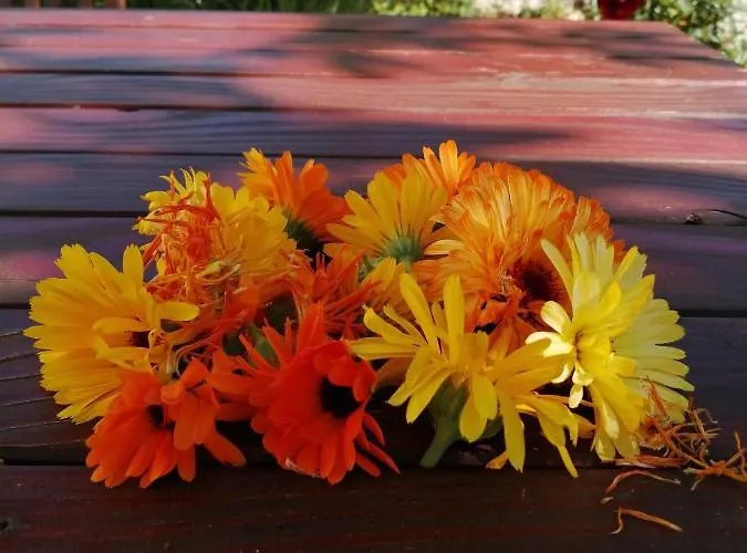 بيت للعطل Rustic Miketa *