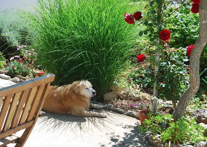 Rustic Miketa Lukoran