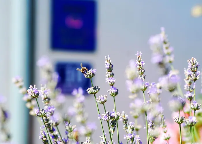 Rustic Miketa بيت للعطل Lukoran