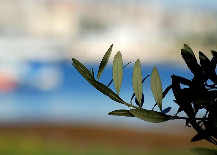 بيت للعطل Rustic Miketa