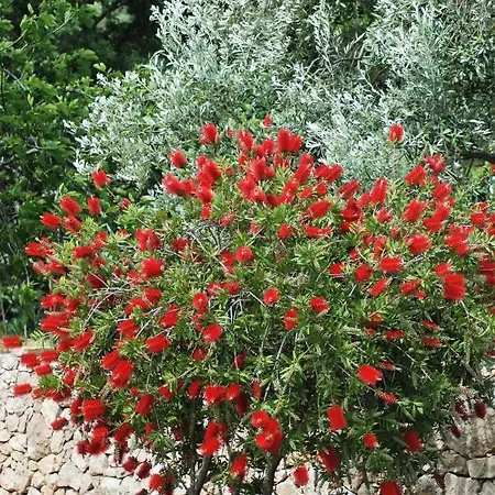 Σπίτι διακοπών Rustic Miketa