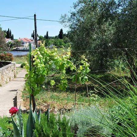 Rustic Miketa Σπίτι διακοπών *