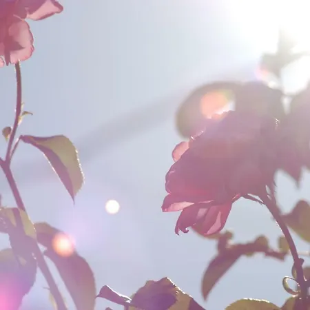 Rustic Miketa Σπίτι διακοπών Lukoran